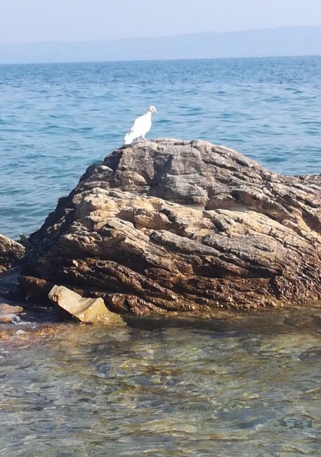 Apartmani Antonia Nakic -Stobrec Σπλιτ Εξωτερικό φωτογραφία